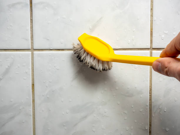 Best Mold Testing and Removal  in Chaska, MN
