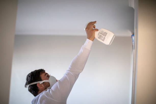 Best Fast Mold Removal  in Chaska, MN