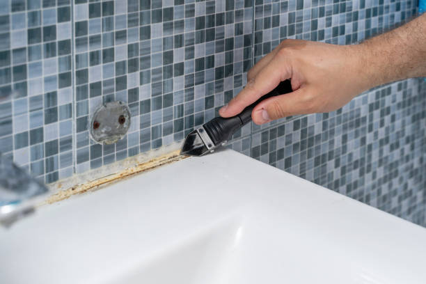Best Professional Mold Removal  in Chaska, MN